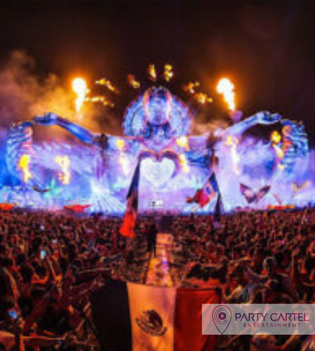 package 450 × 500 px 5