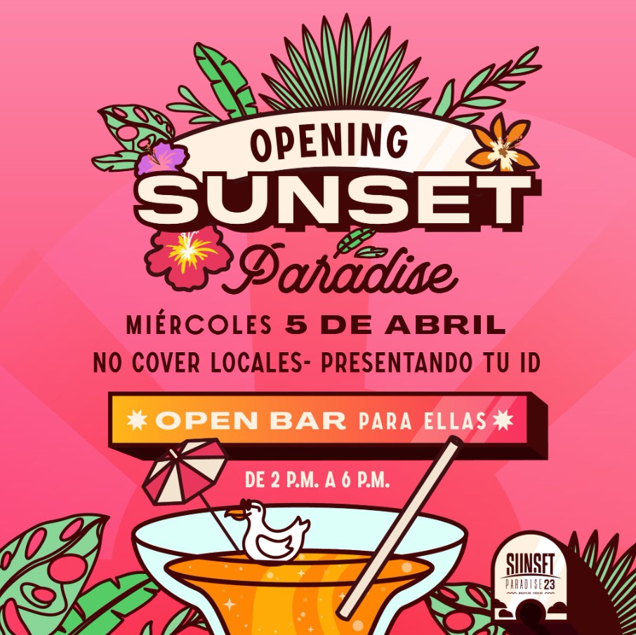 Screenshot 2026 02 07 203421